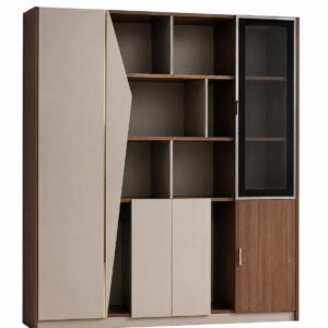Modern Executive Storage Cabinet with Shelves and Glass Door